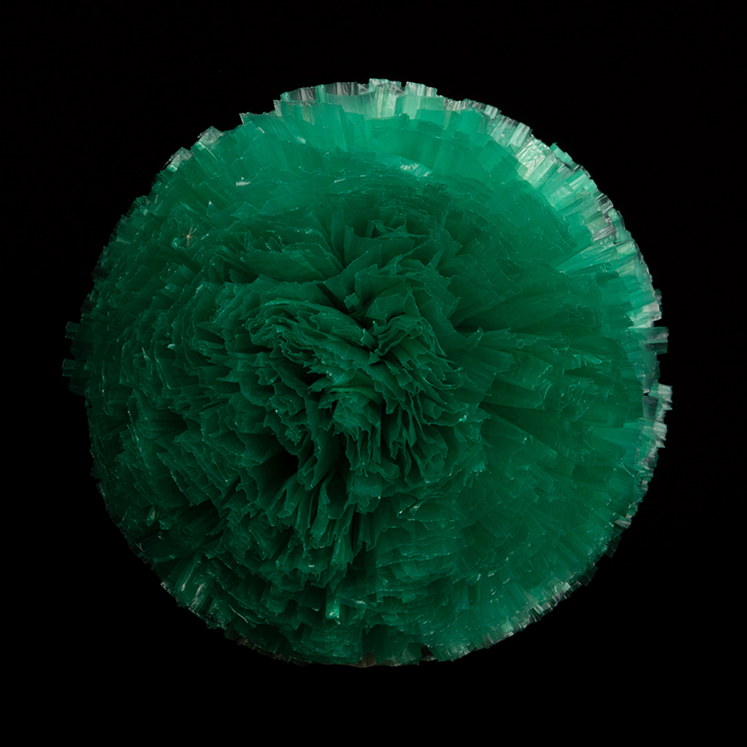 Dark green (19)
